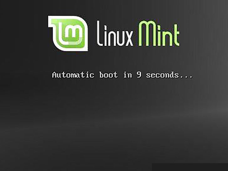 aid855138-728px-Install-Linux-Mint-Step-6
